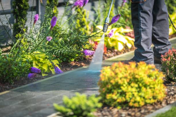 Best Driveway Pressure Washing  in Sansom Park, TX